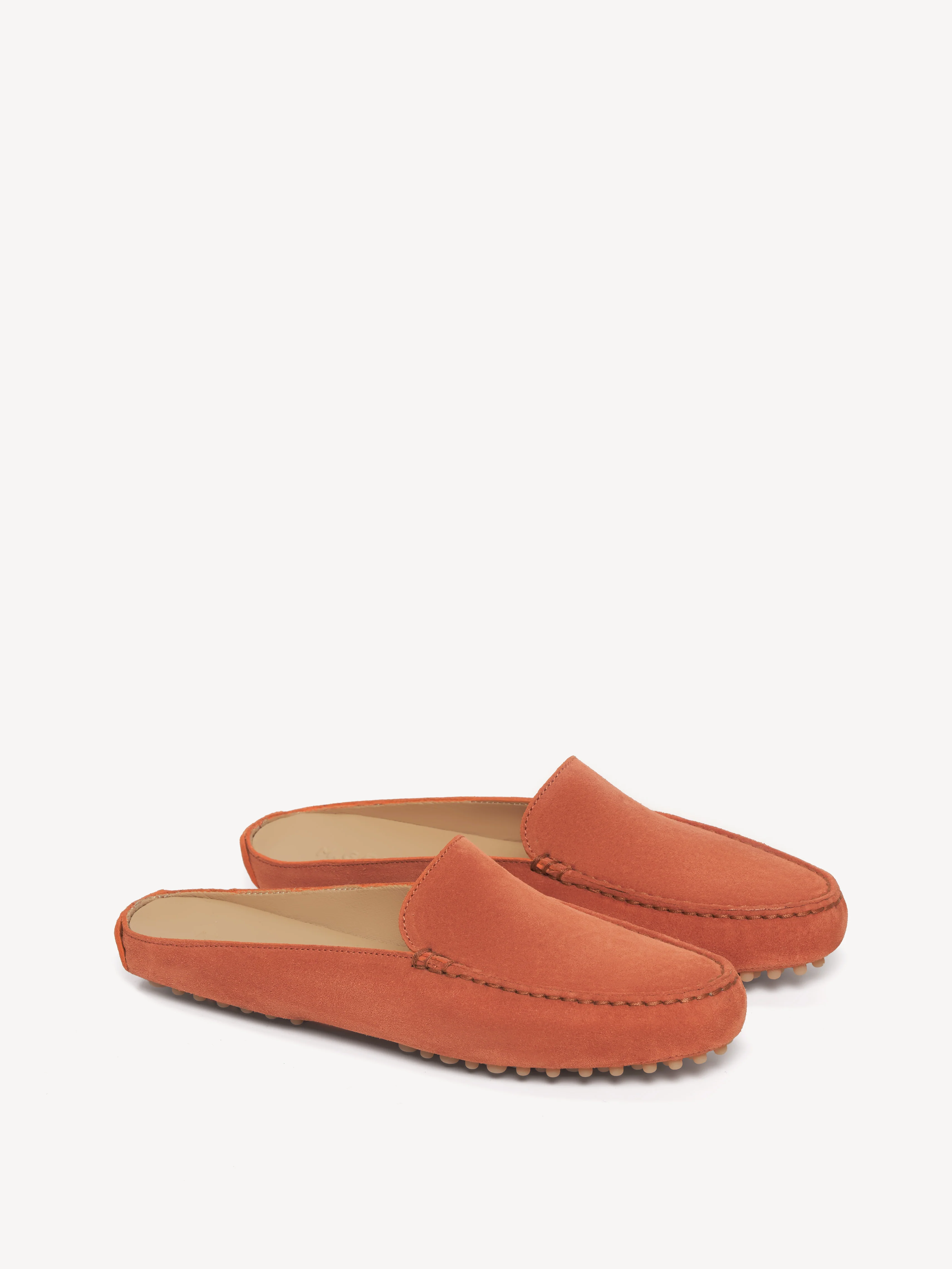 The Felize Mule - Image 2