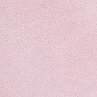 The Gia (Sample Sale) - Image 4