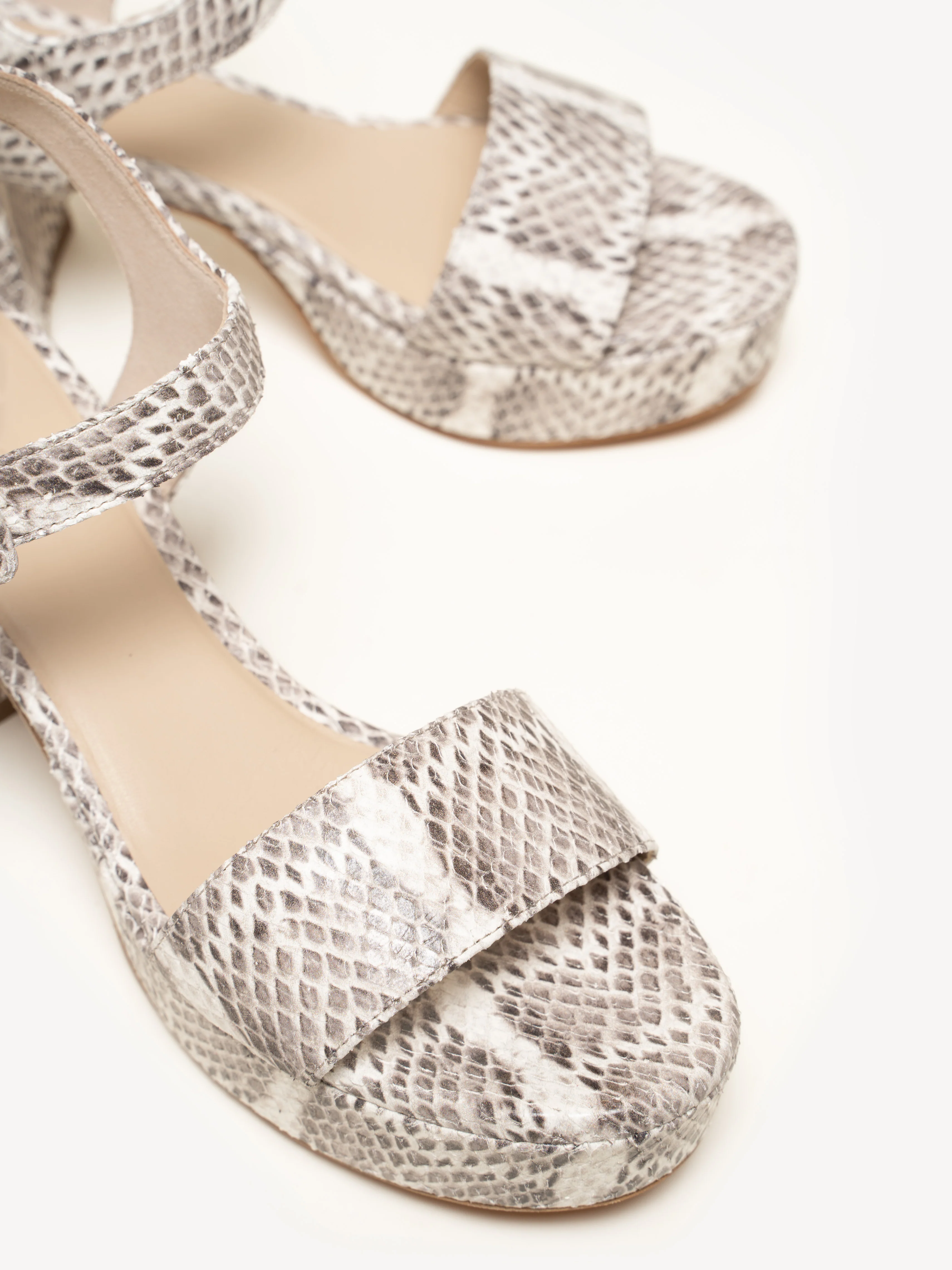 The Lizza Nuova - Image 4