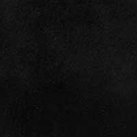 The Marzia - Image 4