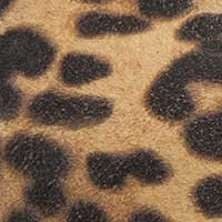 The Marzia (Sample Sale) - Image 4